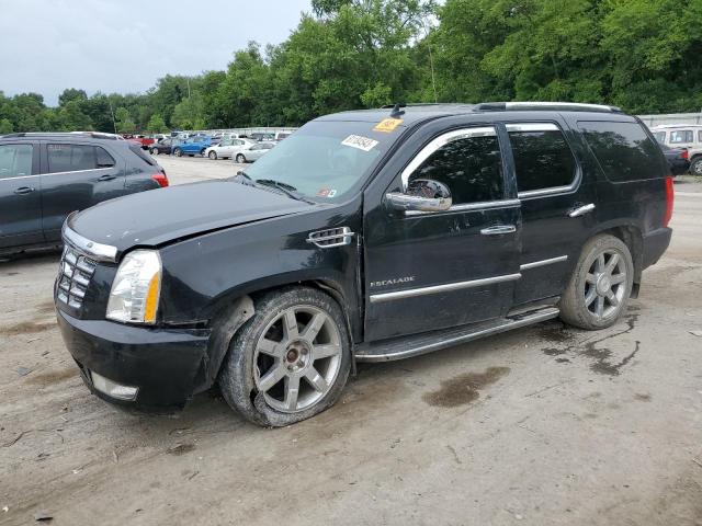 2010 Cadillac Escalade Luxury