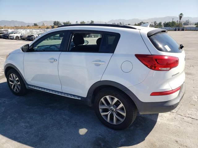 KNDPB3AC8E7547728 KIA Sportage Base