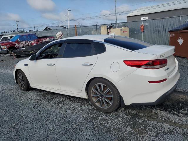 5XXGT4L34KG296855 2019 KIA OPTIMA - Image 2