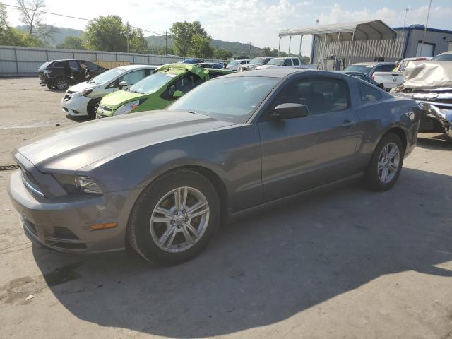 Lot #2445904996 2014 FORD MUSTANG salvage car