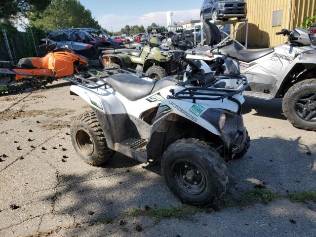 2015 KAWASAKI KVF300 - RGSWM22A8FB563204