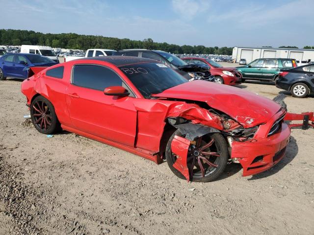 1ZVBP8AM0E5223781 | 2014 FORD MUSTANG