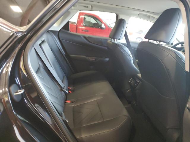 2023 LEXUS NX 350 2T2HGCEZ8PC031614