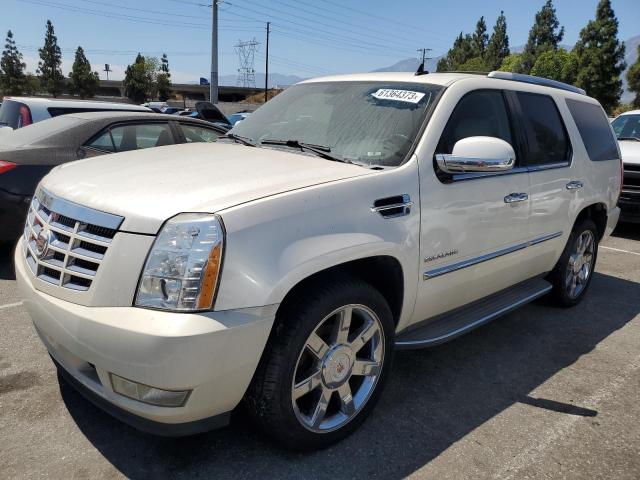 2010 Cadillac Escalade Luxury