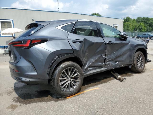 2023 LEXUS NX 250 2T2ADCEZ5PC003991