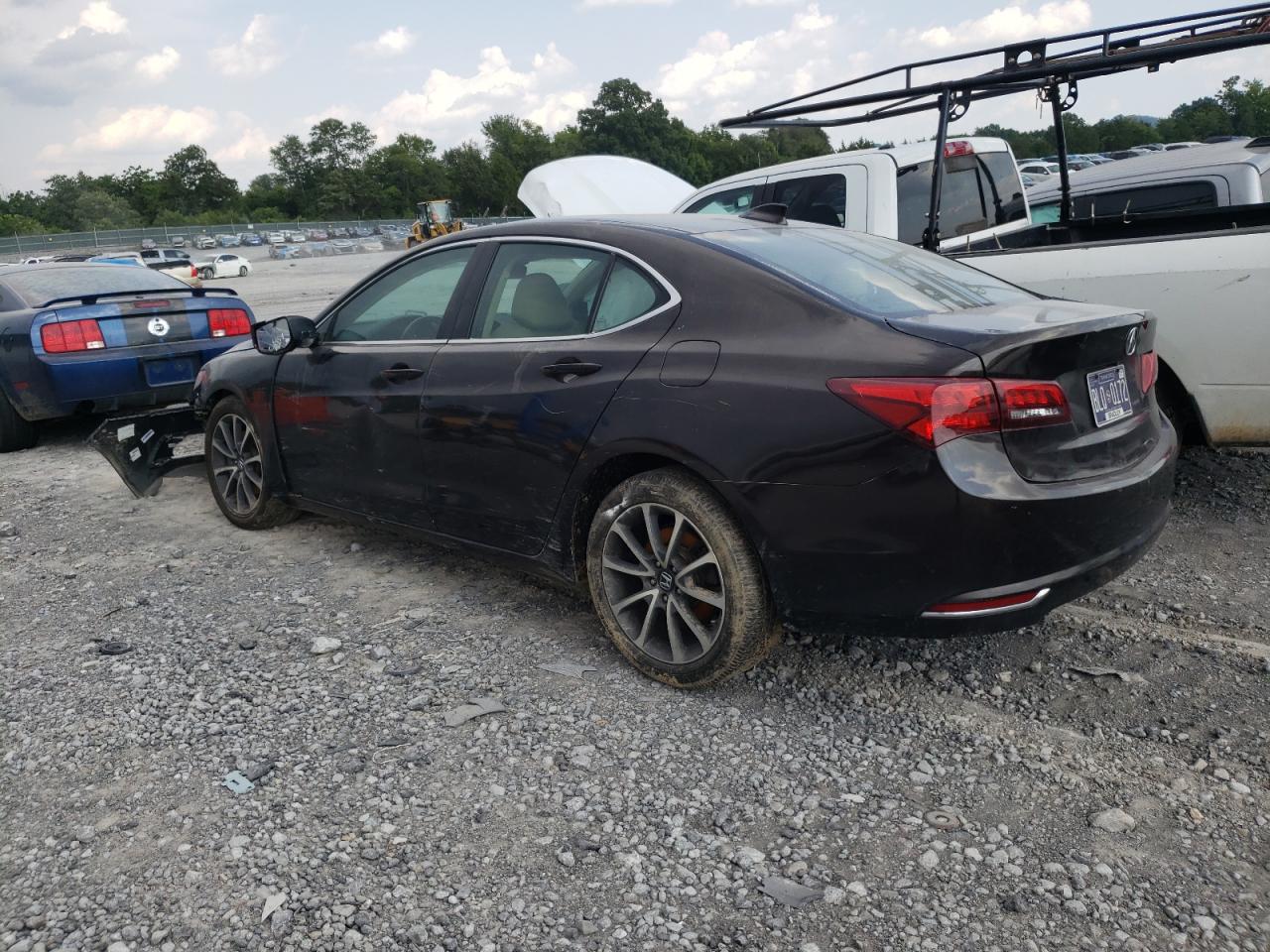 Lot #2494434867 2016 ACURA TLX TECH