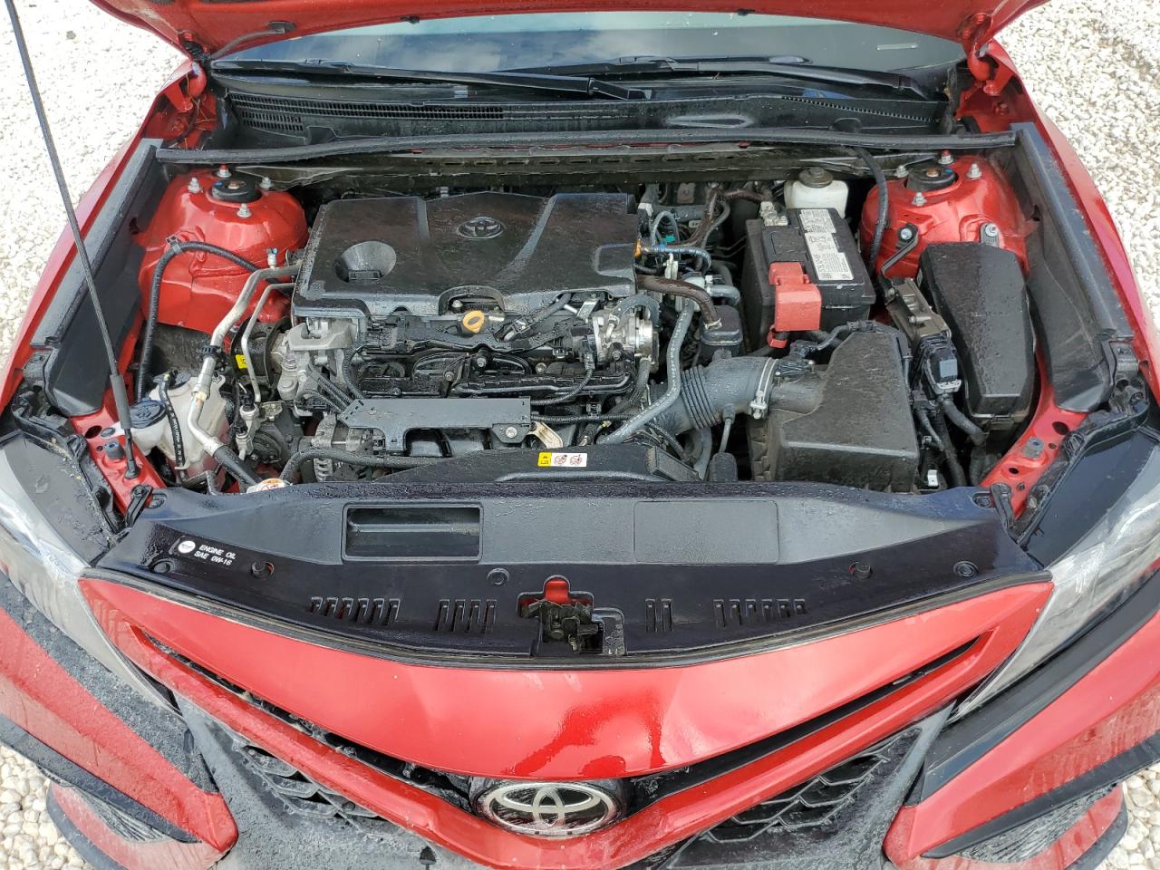 4T1G11AK9MU420030 TOYOTA CAMRY 2021