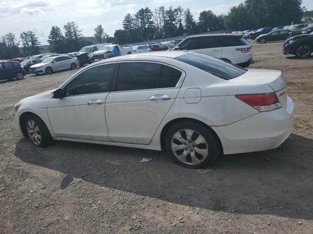 1HGCP36848A066887 | 2008 Honda accord exl