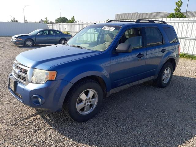 2009 Ford Escape XLT