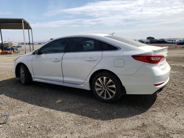 5NPE34AF4HH509899 Hyundai Sonata Sport