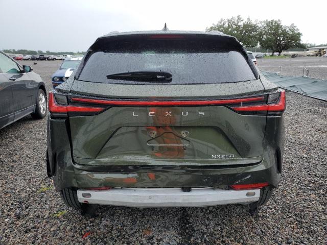 2024 LEXUS NX 250 BAS 2T2ADCAZ9RC008992