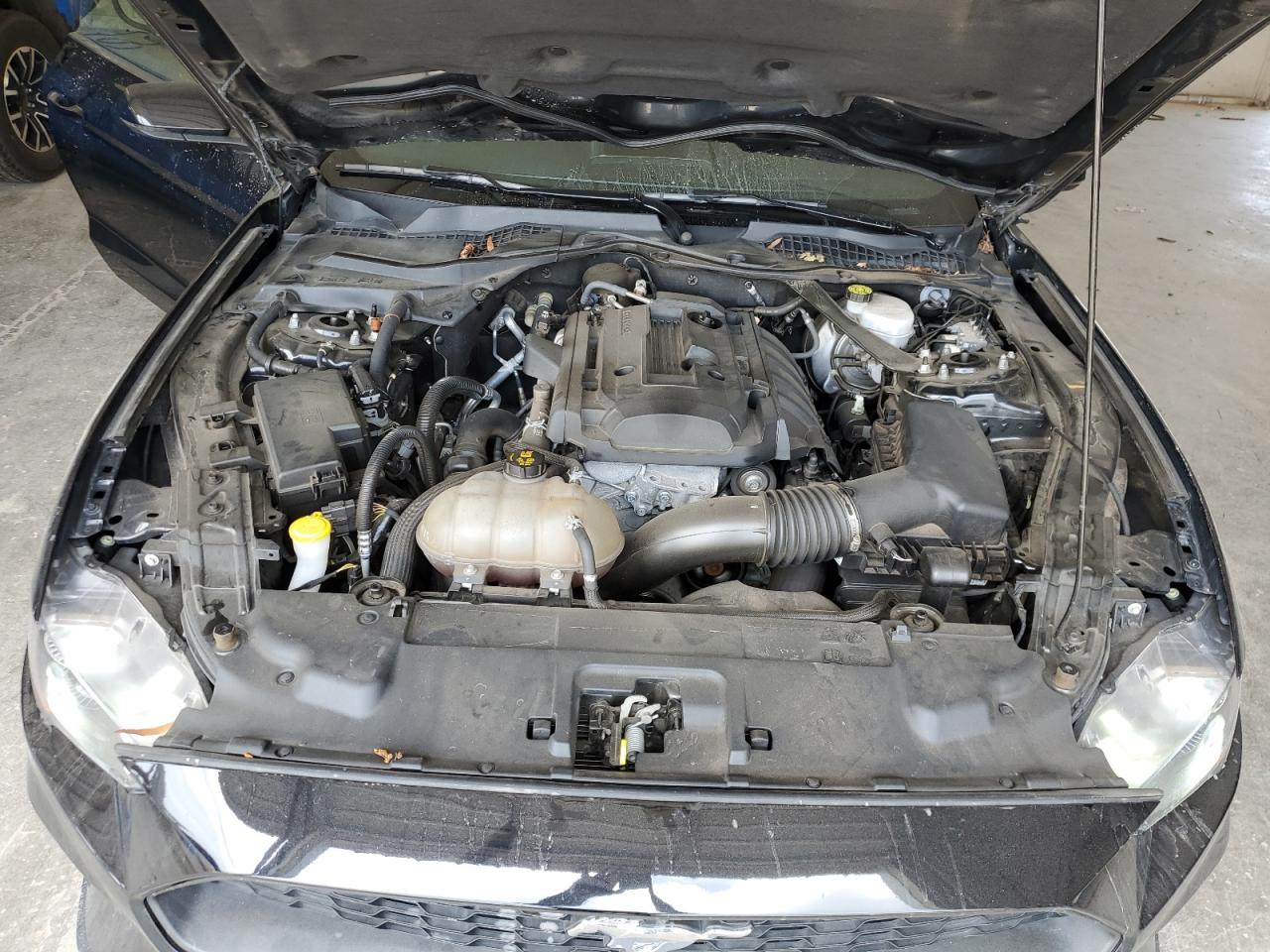 1FATP8UH3K5110222 FORD ALL Models 2019