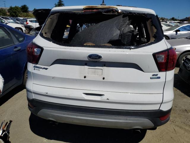2019 FORD ESCAPE SE - 1FMCU9GD5KUB29177