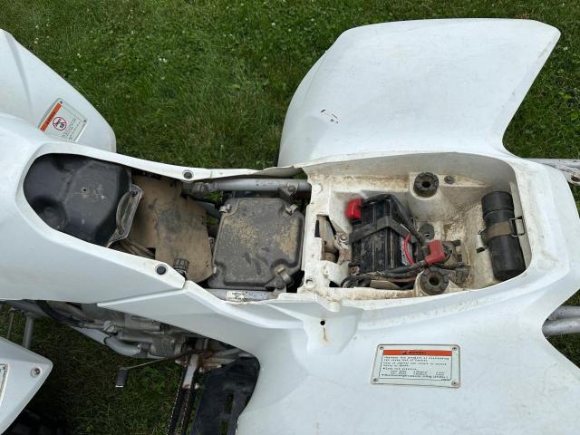 2008 HONDA TRX250 EX - 1HFTE270884702061