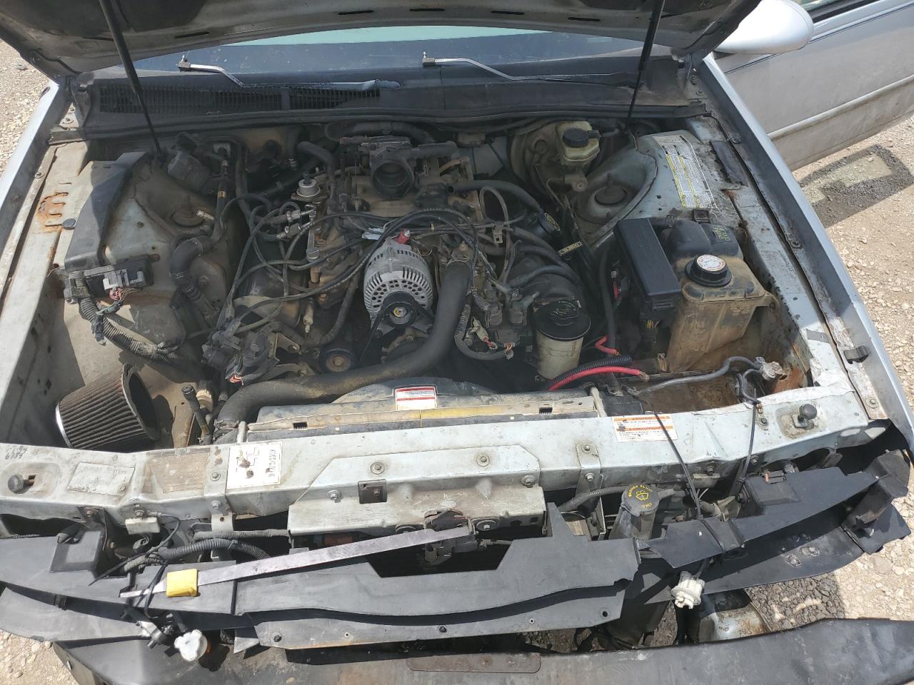 1FALP62W5RH117395 1994 Ford Thunderbird Lx