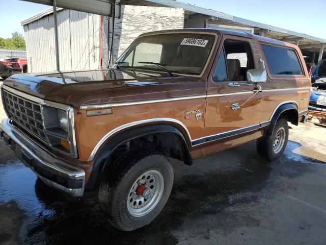 1981 Ford Bronco 