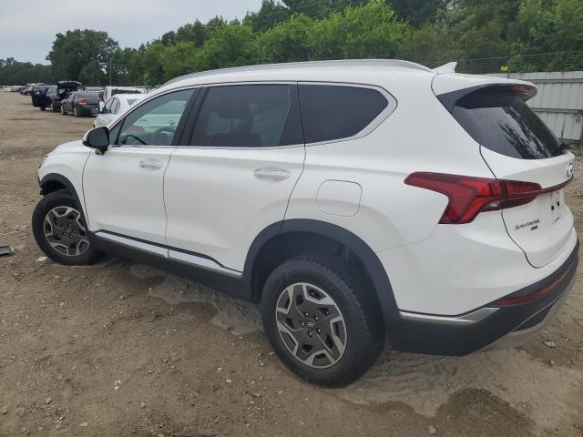 2021 HYUNDAI SANTA FE B KM8S2DA13MU013191