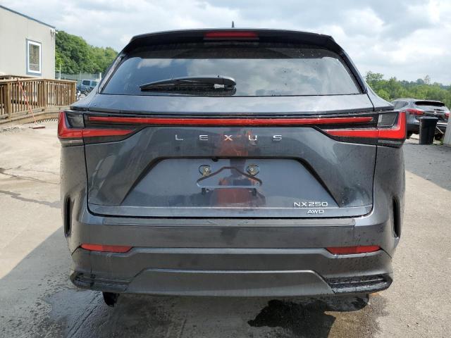 2023 LEXUS NX 250 2T2ADCEZ5PC003991