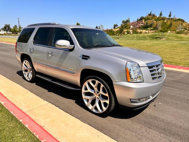 2010 Cadillac Escalade Luxury