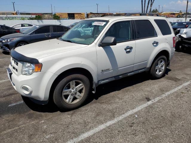 2010 Ford Escape Hybrid