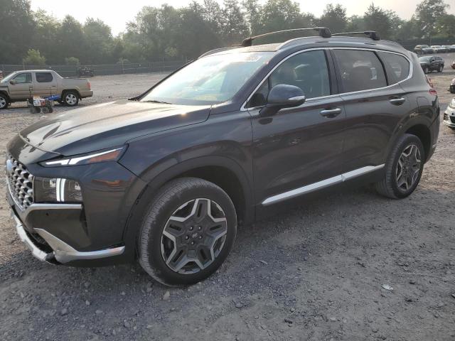 2023 HYUNDAI SANTA FE L - 5NMS5DA12PH005574