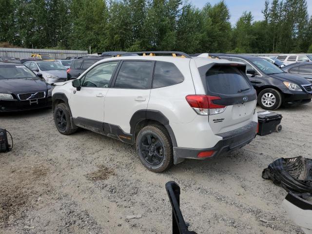 JF2SKAMC5NH522162 Subaru Forester Wilderness