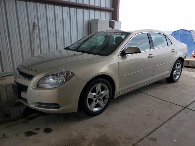 Lot #2337044197 2010 CHEVROLET MALIBU 1LT salvage car