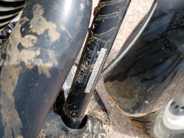 2010 HARLEY-DAVIDSON FLSTFB 1HD1JN514AB041865