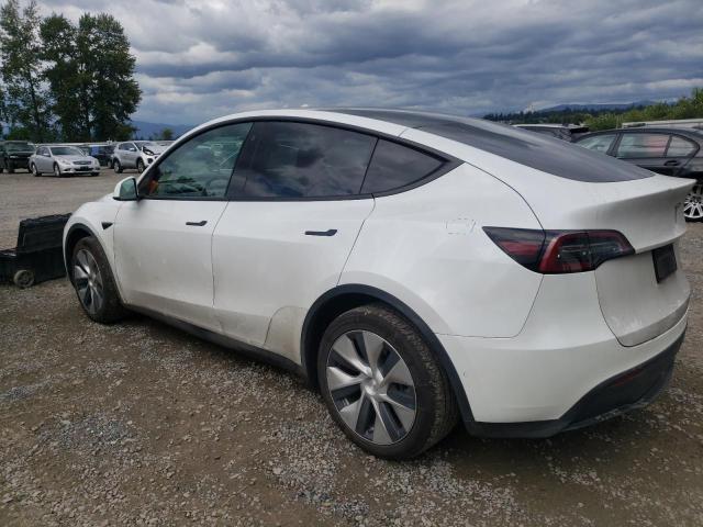 5YJYGAEE0MF246434 Tesla Model Y  2