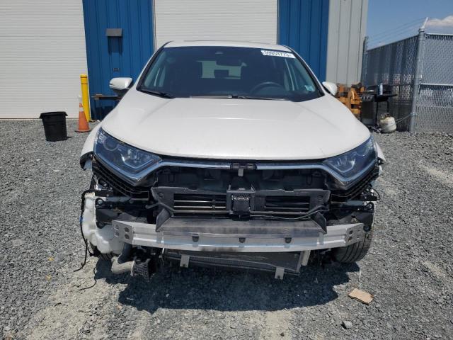 2019 HONDA CR-V EX - 2HKRW2H56KH119713