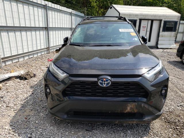 2023 TOYOTA RAV4 WOODL - 2T3UWRFV8PW164433