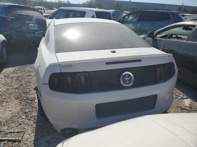 1ZVBP8AM0E5221884 Ford MUSTANG