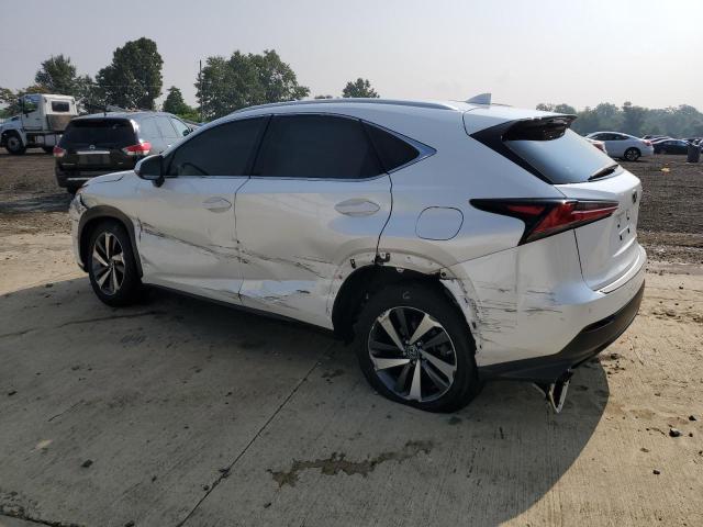 2020 LEXUS NX 300 JTJGARDZ4L2219588