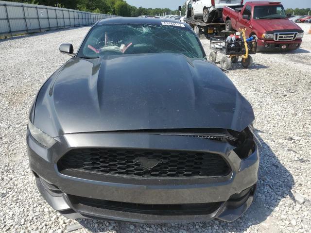 1FA6P8AM4G5331706 Ford MUSTANG