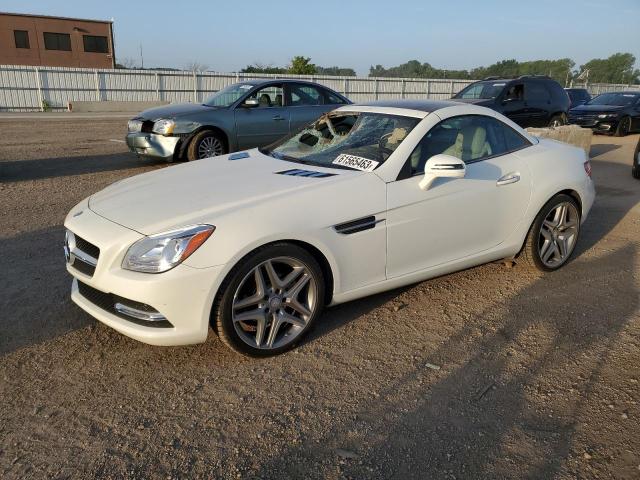 2013 Mercedes-Benz SLK-Class SLK 250