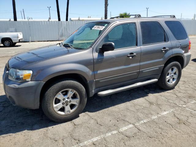 2005 Ford Escape XLT