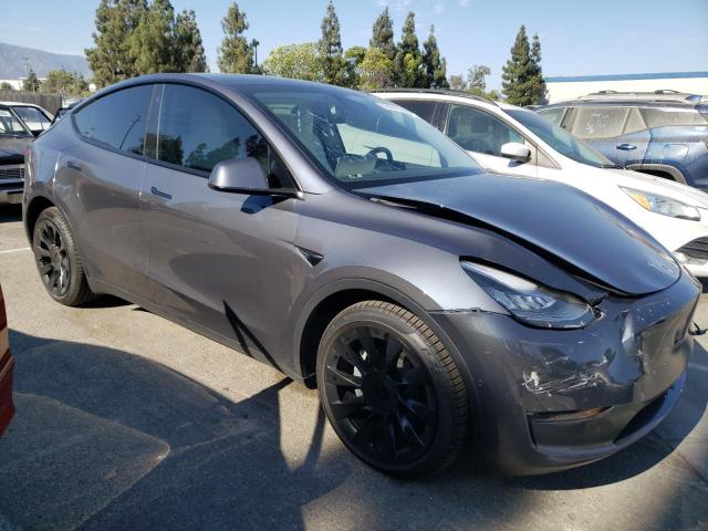 5YJYGDEE1LF018541 Tesla Model Y