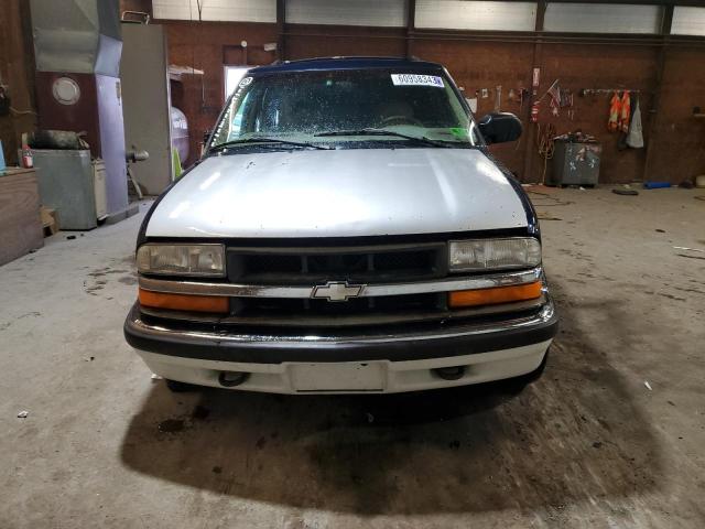 2000 Chevrolet Blazer VIN: 1GNDT13W7Y2163119 Lot: 60958343