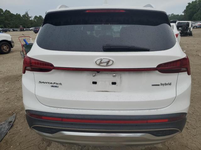 2021 HYUNDAI SANTA FE B KM8S2DA13MU013191