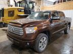2017 TOYOTA TUNDRA CRE - 5TFAY5F15HX601210