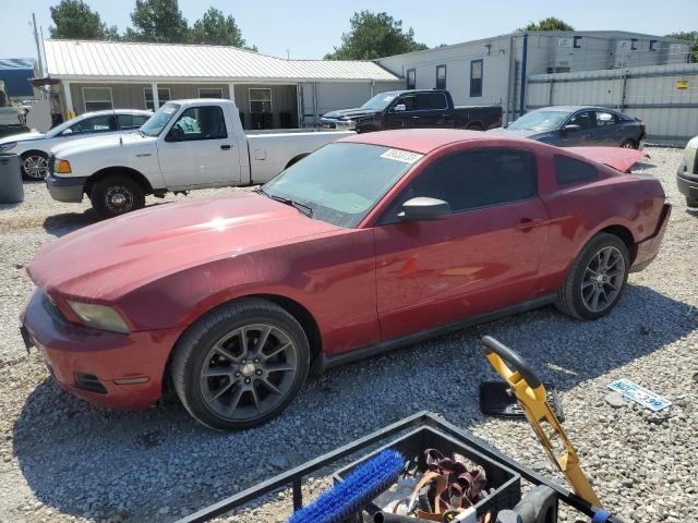 2010 Ford Mustang 