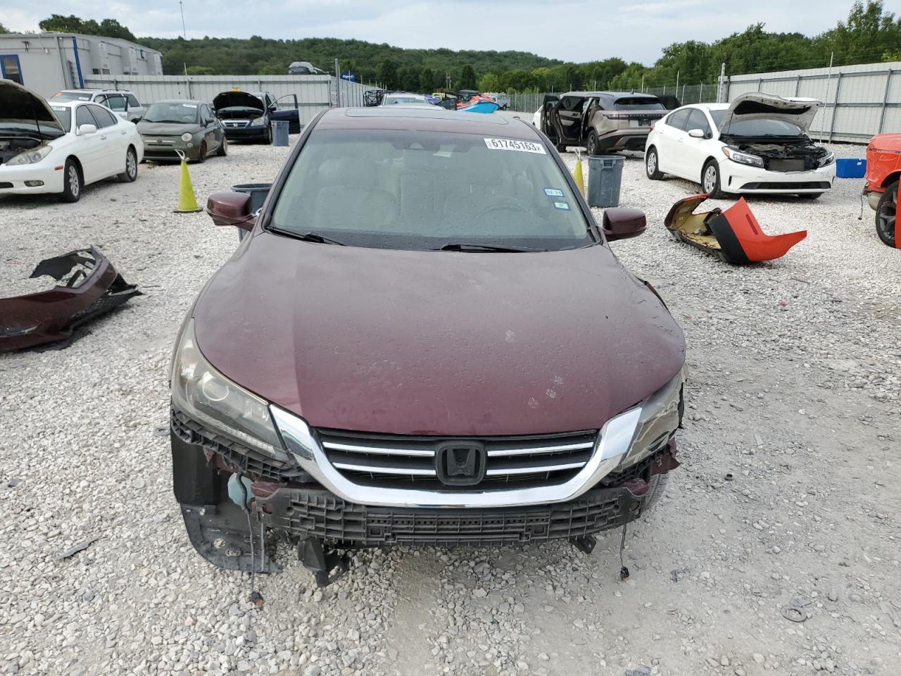 1HGCR2F85DA194991 2013 Honda Accord Exl