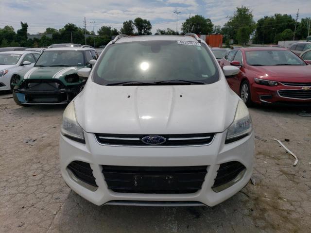 1FMCU9J94EUA96519 2014 FORD ESCAPE, photo no. 5