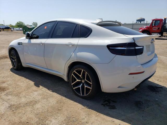 VIN 5YMGZ0C5XDLL30073 2013 BMW X6, M no.2