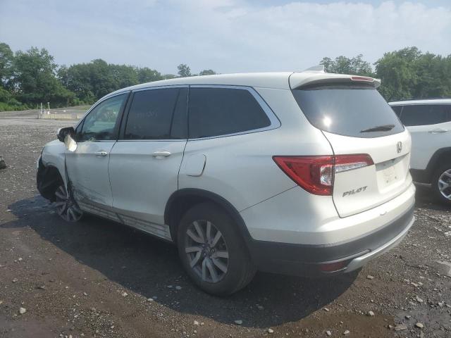 5FNYF6H55KB030250 | 2019 HONDA PILOT EXL