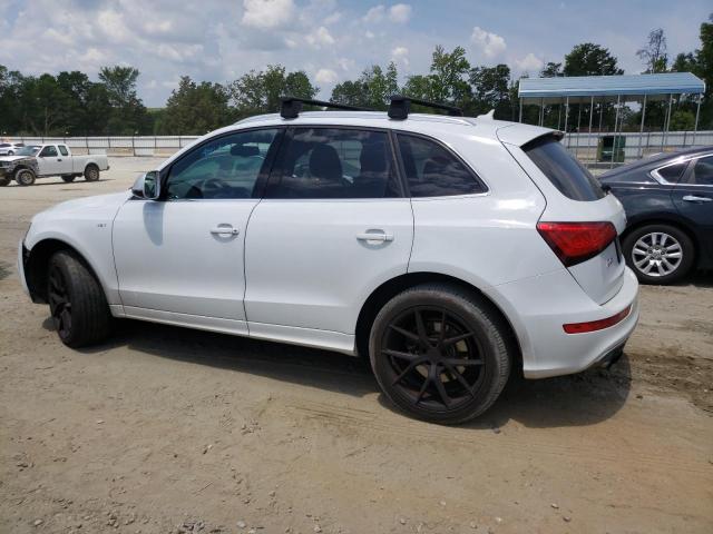 WA1CGAFPXEA033943 2014 AUDI SQ5 - Image 2