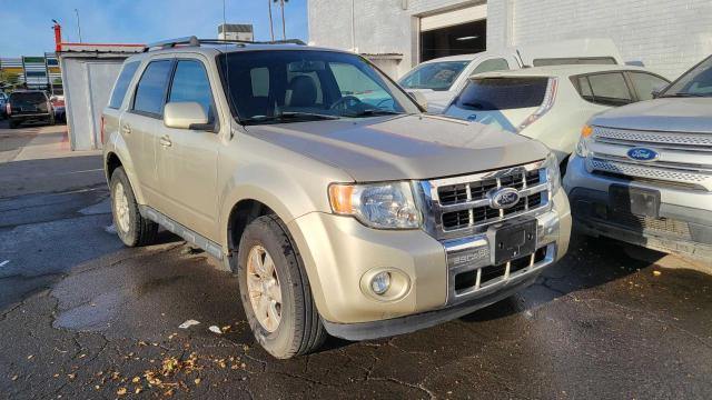 2010 Ford Escape Limited