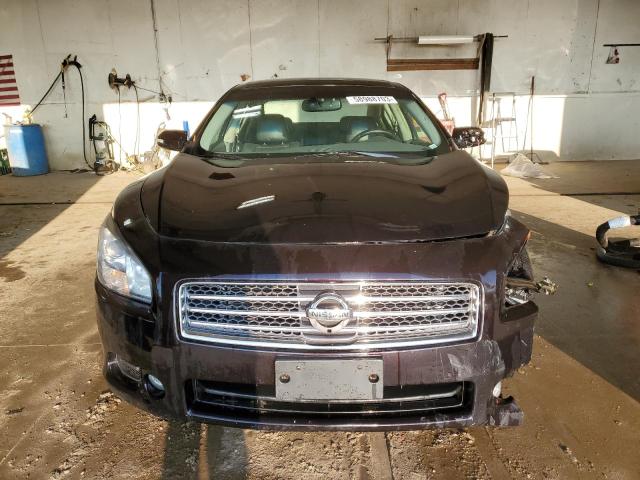 2010 Nissan Maxima S VIN: 1N4AA5AP2AC815428 Lot: 58988703