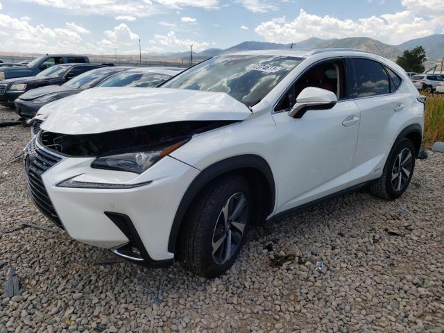 2020 Lexus NX 300h 