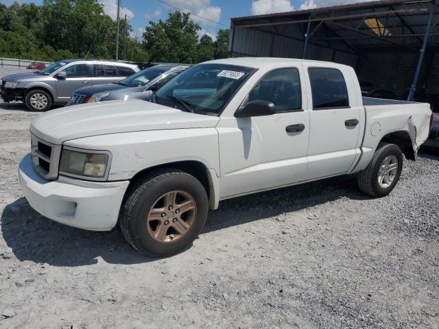 2011 Dodge Dakota SLT